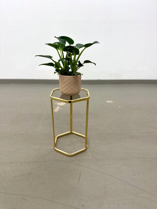 Goldfarbener Beistelltisch mit Rauchglasplatte