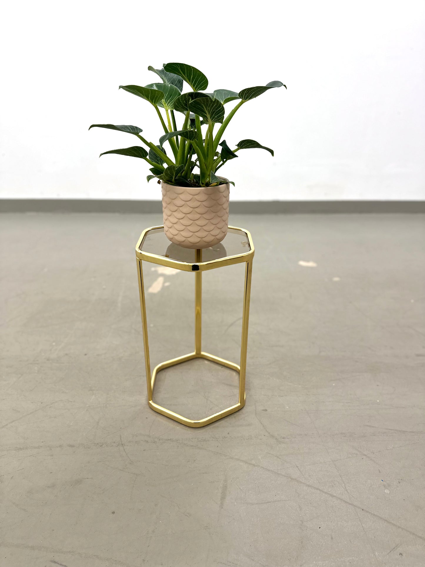 Goldfarbener Beistelltisch mit Rauchglasplatte