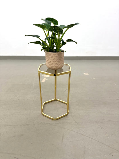 Goldfarbener Beistelltisch mit Rauchglasplatte